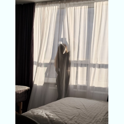 ϳ��� ������ - �� ����