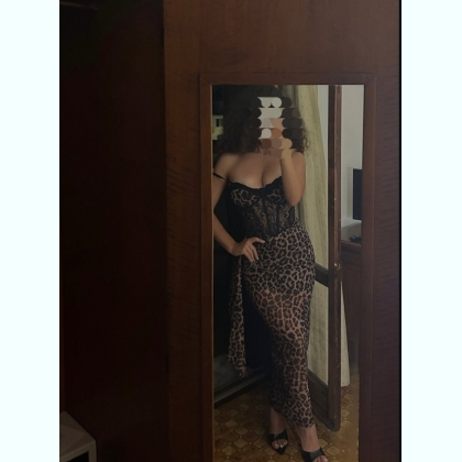 ���������, �����������, ������������ �� ����������������. ���������