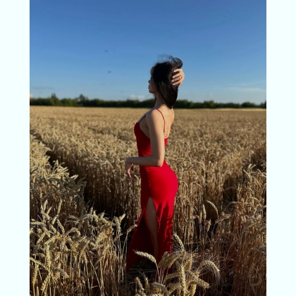 ��� ����� ����� ���� ������� 