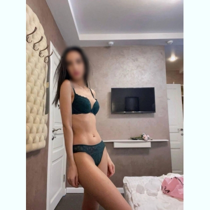 ����������, �������, ���� �����������. 