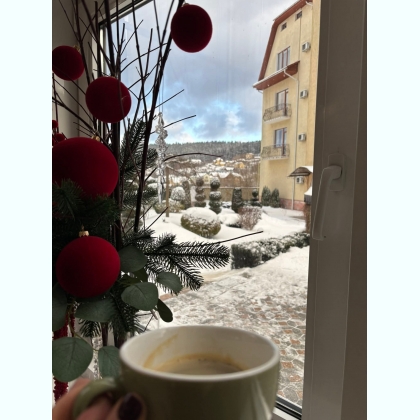 ���� ���� �����������