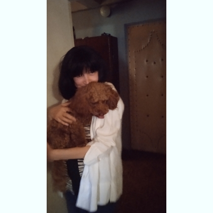 ����� ��������..