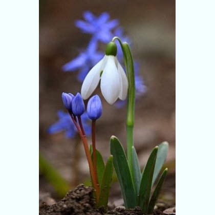 ������ ��� ��, ��� �������� ���� �� ������� 