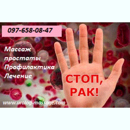 ���������� �����  ����� ��������  ������ �� ����