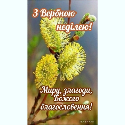 ���� ���