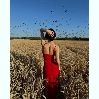 �������� ������� � �����������, ������ �o���