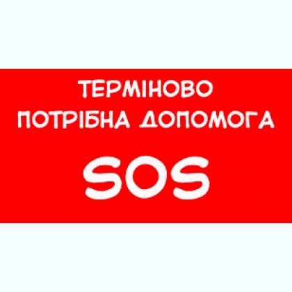 ���� ��������.����� -��������� �������� � ������� ������.