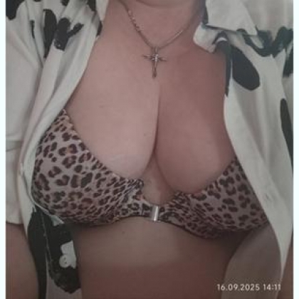 ���������.�����,�� �������� 