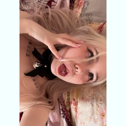 �o����a ������e�a ��� ���� 