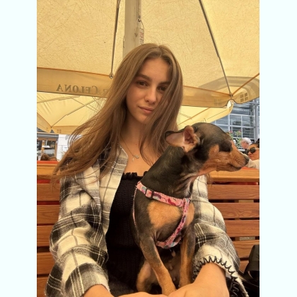 ������ � �����